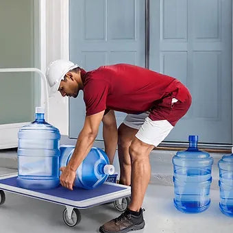 Mystar Platform Trolley Made In Malaysia