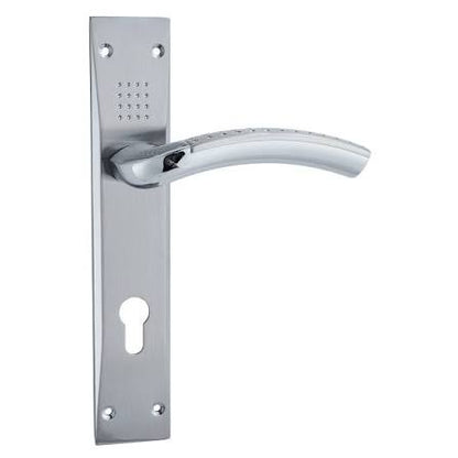 Abbasali Door Handle Full set SNCP